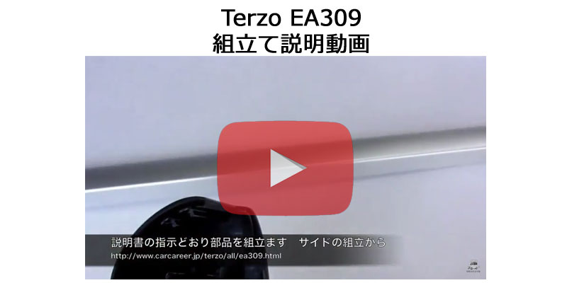 terzo ea309ルーフラック